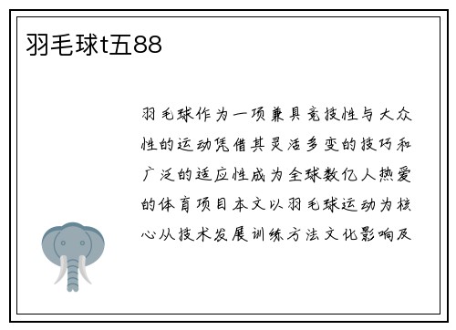 羽毛球t五88